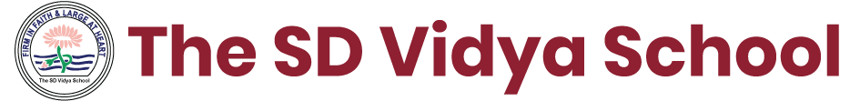 SD Vidya Schools